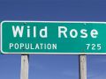 Wild Rose Population