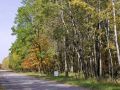 Quiet Country Road Frontage Picture