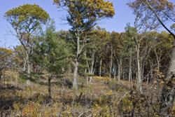 Wisconsin Land for Sale