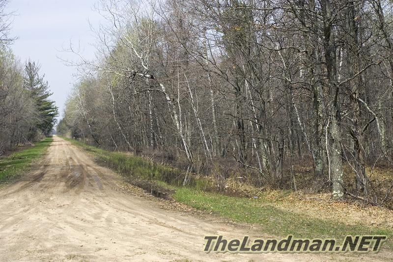 D 800X533 D3Z5194 D 800X533 D3Z5194