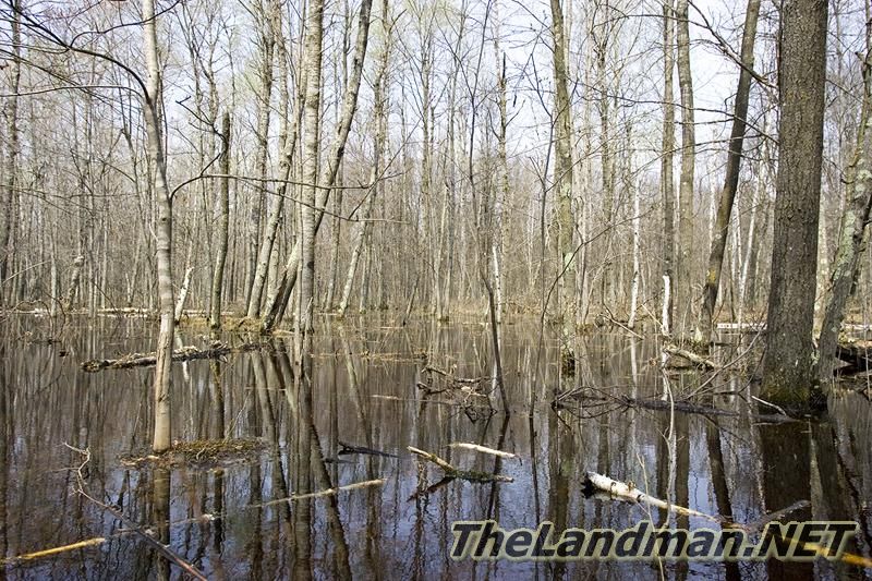 D 800X533 D3Z5197 D 800X533 D3Z5197