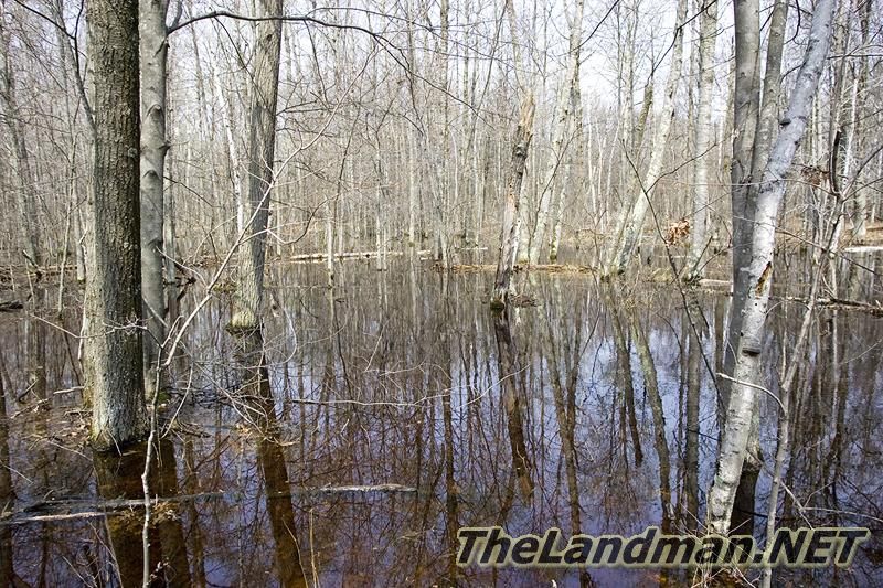 D 800X533 D3Z5198 D 800X533 D3Z5198