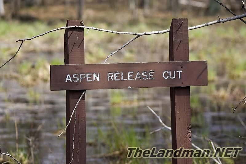 D 800X533 D3Z5199 D 800X533 D3Z5199