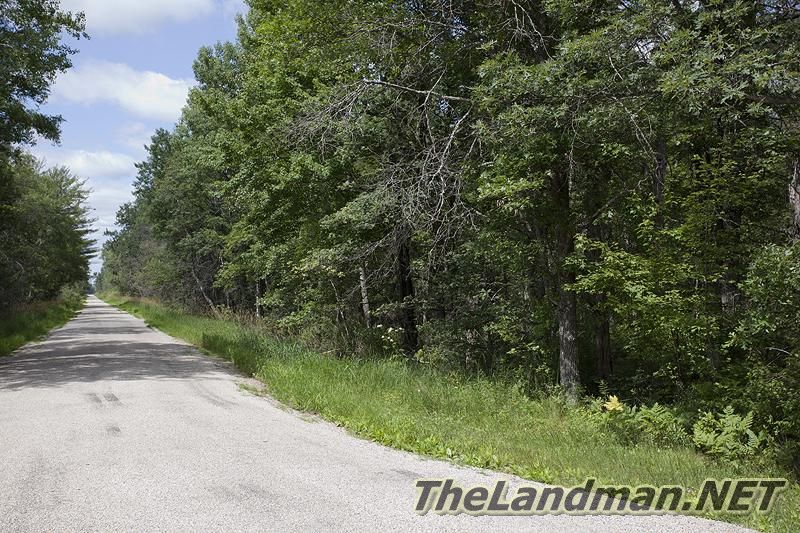 D 800X533 IMG 8380 D 800X533 IMG 8380