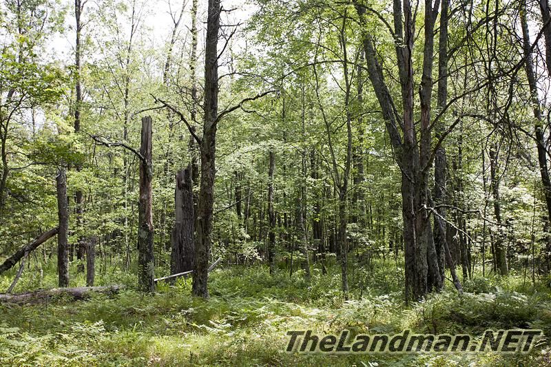 D 800X533 IMG 8381 D 800X533 IMG 8381