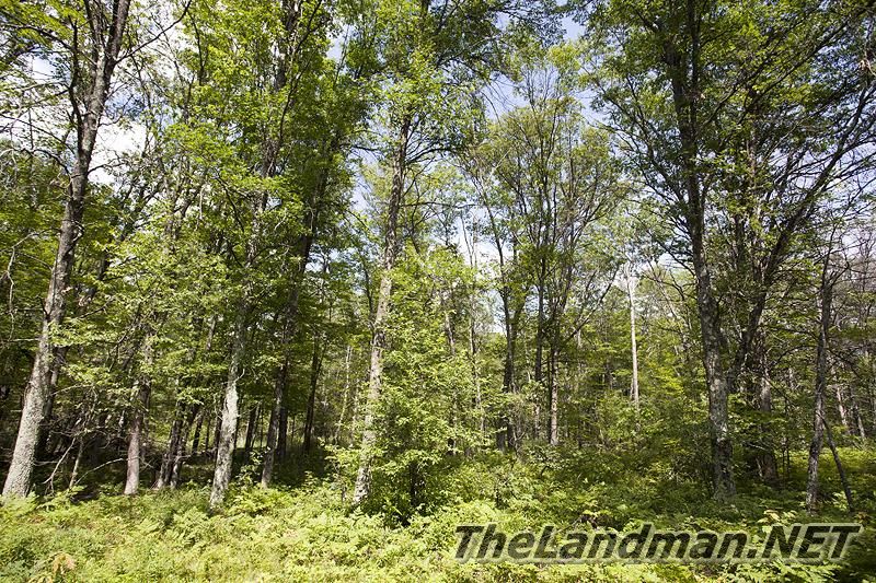 D 800X533 IMG 8382 D 800X533 IMG 8382