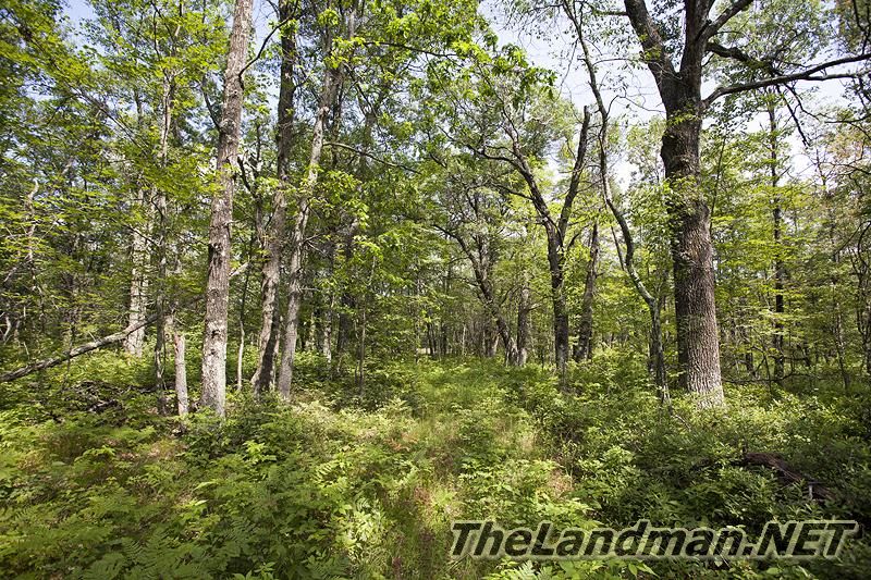 D 800X533 IMG 8383 D 800X533 IMG 8383