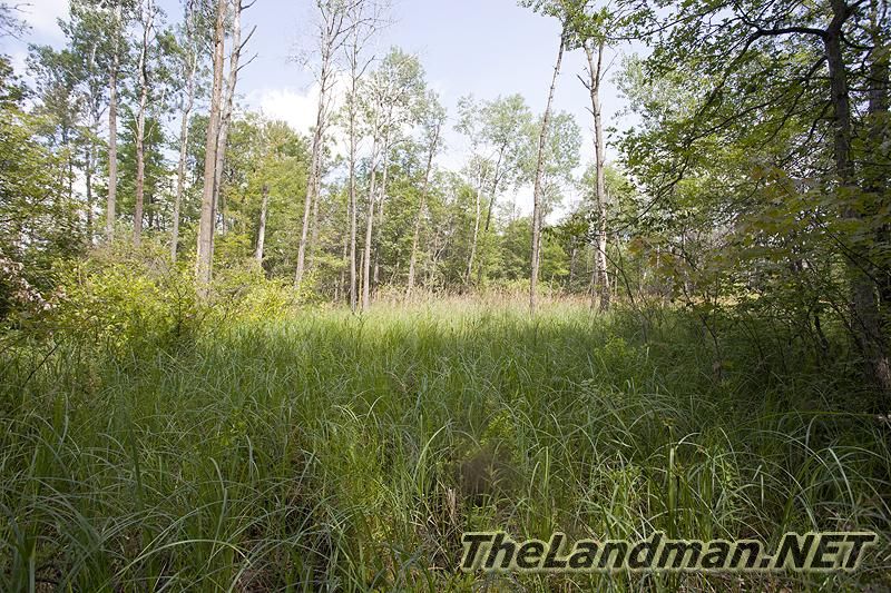 D 800X533 IMG 8384 D 800X533 IMG 8384