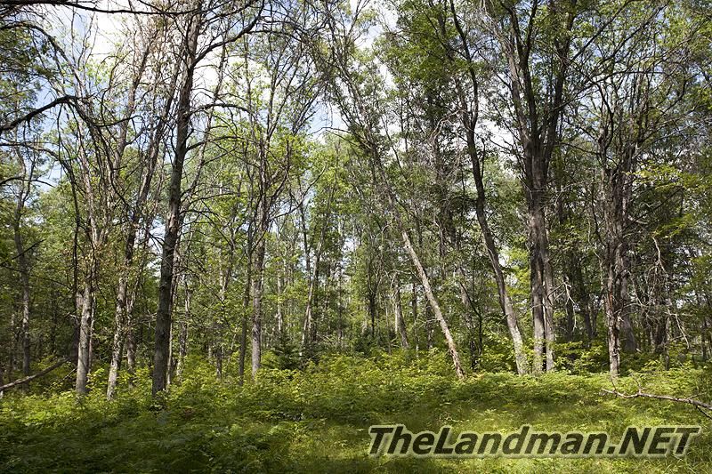 D 800X533 IMG 8386 D 800X533 IMG 8386