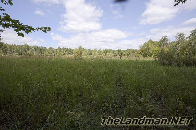 D 800X533 IMG 8389 D 800X533 IMG 8389