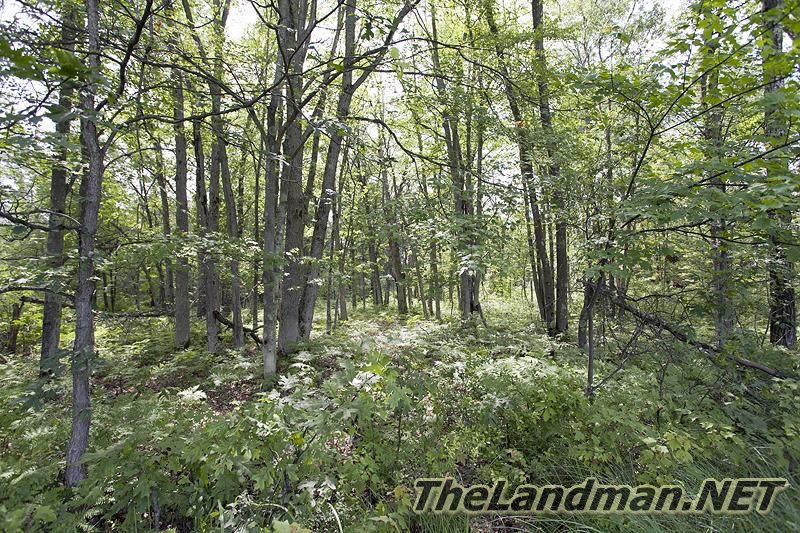 D 800X533 IMG 8391 D 800X533 IMG 8391