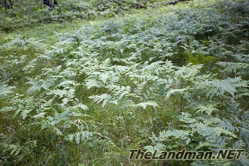 D 800X533 IMG 8393 D 800X533 IMG 8393