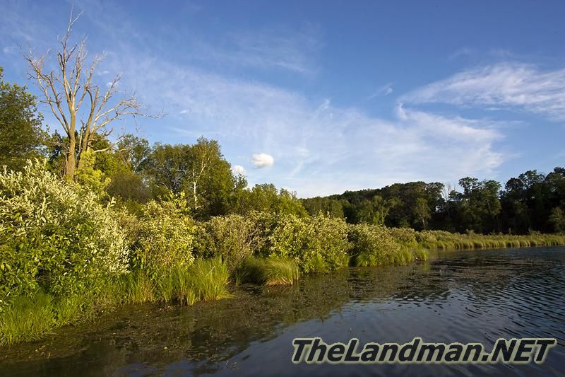 D 800X533 MD3Z5179 D 800X533 MD3Z5179