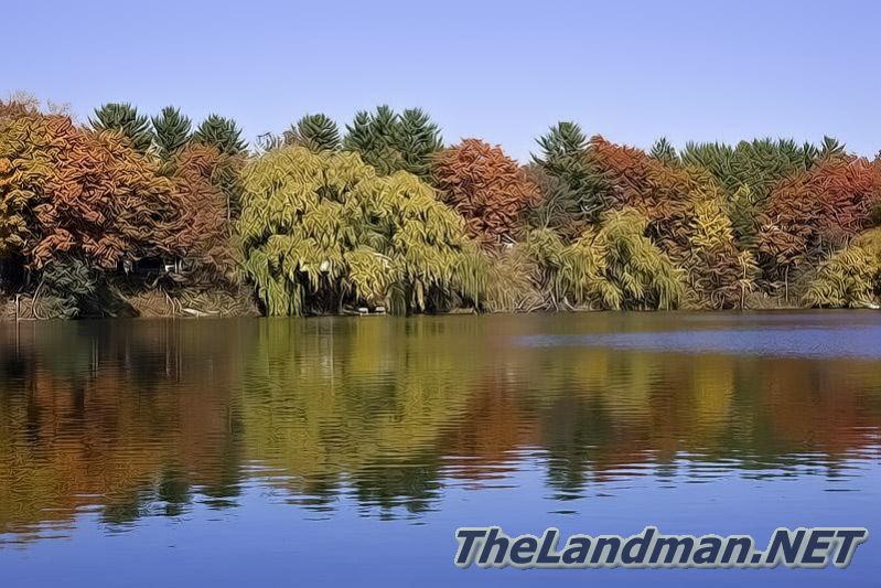 Friendship Lake Friendship Lake