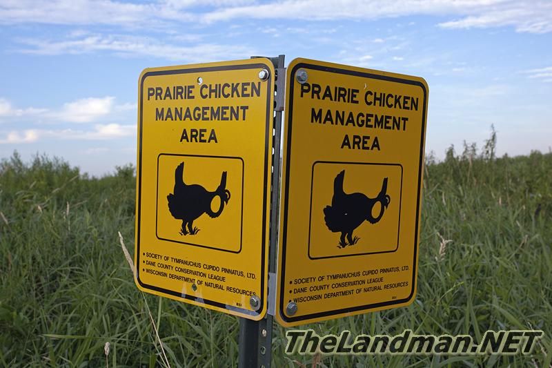 Public Land Public Land