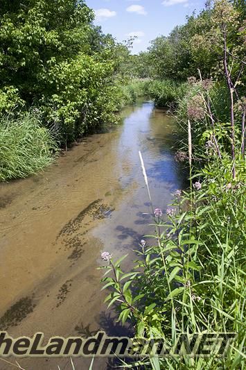 Neenah Creek Trout Stream Neenah Creek Trout Stream