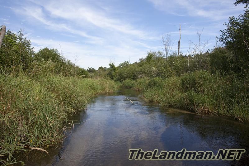 Trout Stream Trout Stream