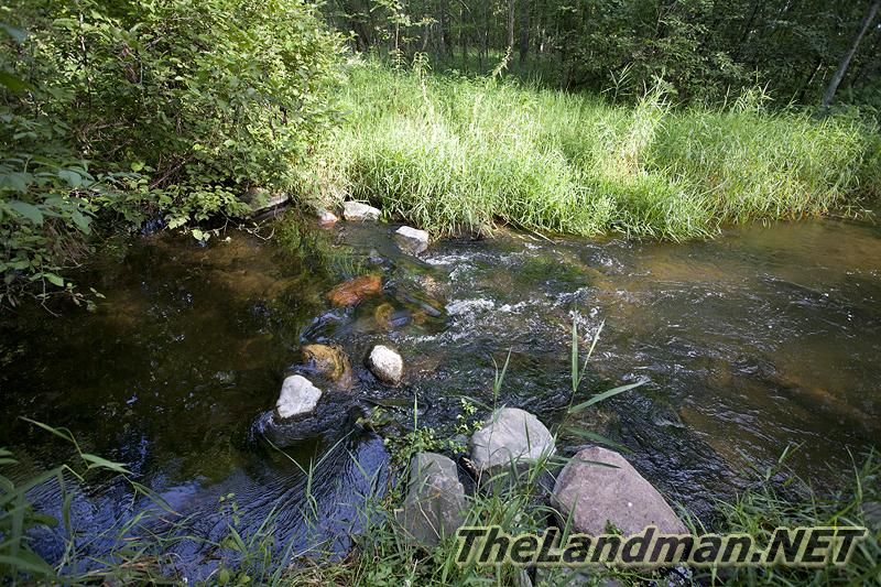Adams County WI Trout Stream Adams County WI Trout Stream