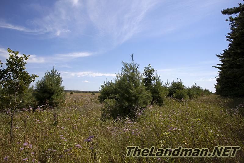 Wildlife Habitat Wildlife Habitat