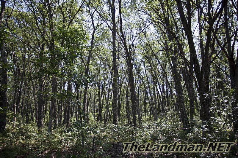 Public Hunting Land Public Hunting Land