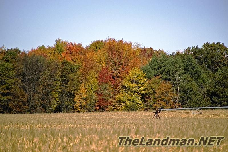 Fall Colors Fall Colors