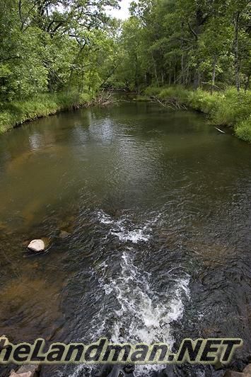 Trout Stream Trout Stream