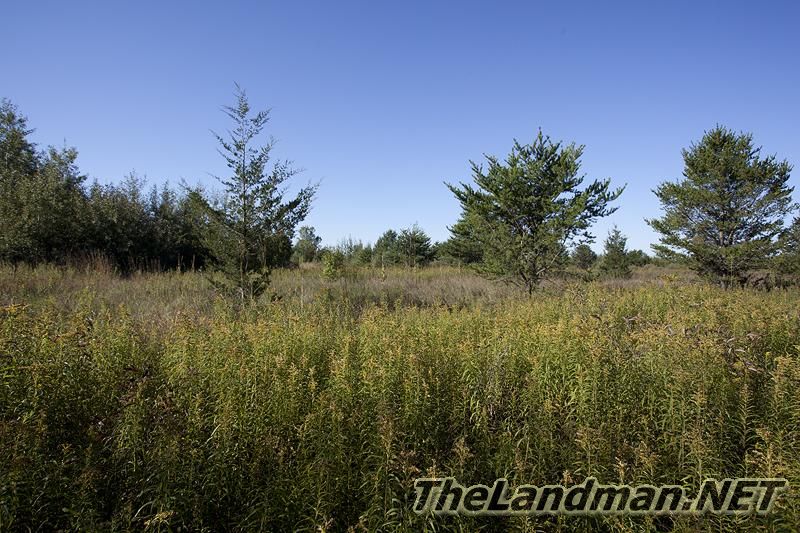 The Great Outdoors The Great Outdoors