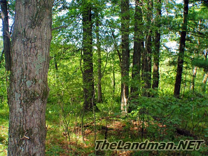 Lazy Creek Subdivision Lazy Creek Subdivision