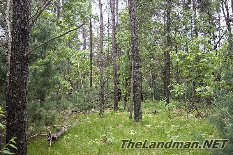 Adams County Adams County