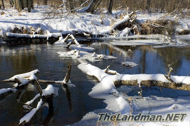 Winter Photo Winter Photo