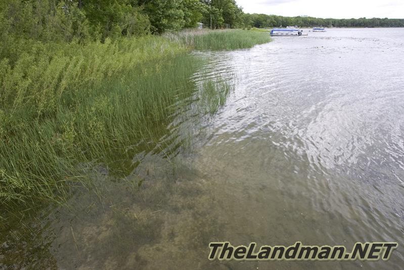 Trout Waters Trout Waters