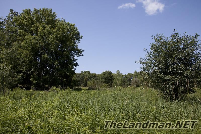 Adams County Adams County