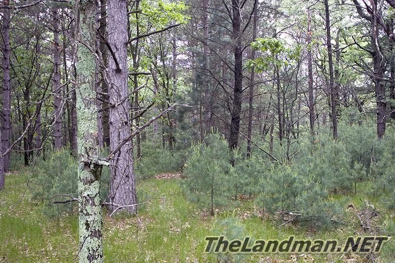 Real Estate Developments Subdivisions Real Estate Developments Subdivisions