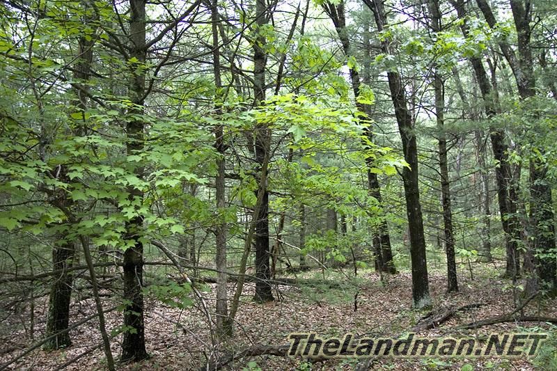 Central Wisconsin Central Wisconsin