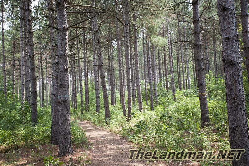 Rome Township Rome Township