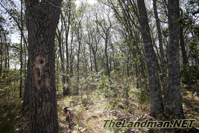 Public Land Public Land