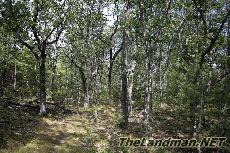 Central Wisconsin Central Wisconsin