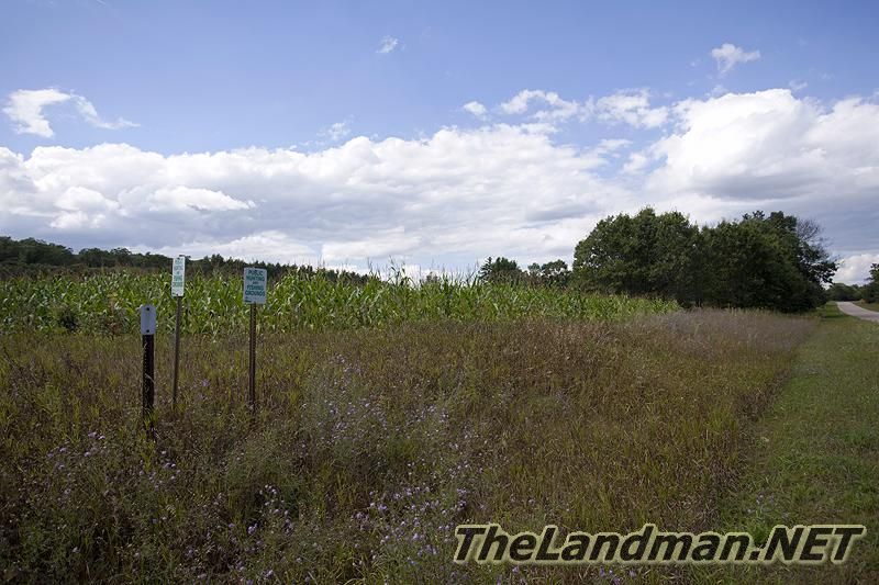 Central WI Central WI