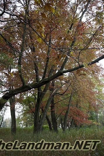 Redgranite WI Redgranite WI