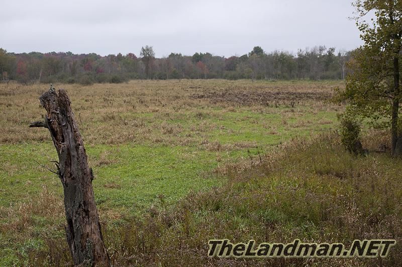 Central WI Central WI