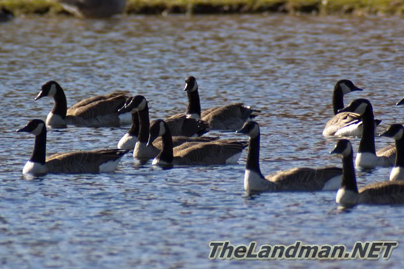 Central WI Central WI