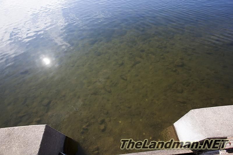 Rose Township Rose Township