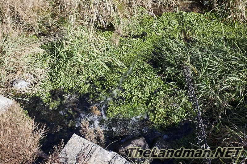 D 800X533 IMG 1034 D 800X533 IMG 1034