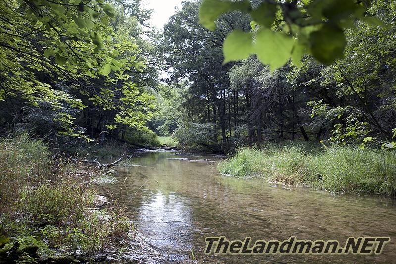 Brown Trout Stream Brown Trout Stream