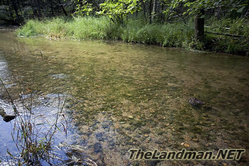 Rainbow Trout Stream Rainbow Trout Stream