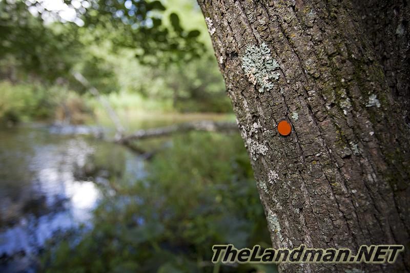 Trout Waters Trout Waters