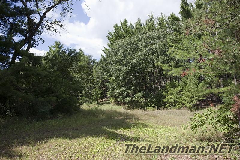 Hunting Area Hunting Area