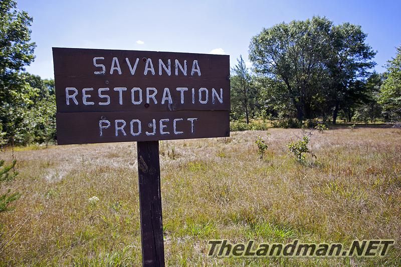Savannah Restoration Project