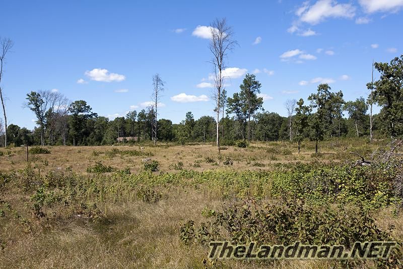 Wisconsin Hunting Land