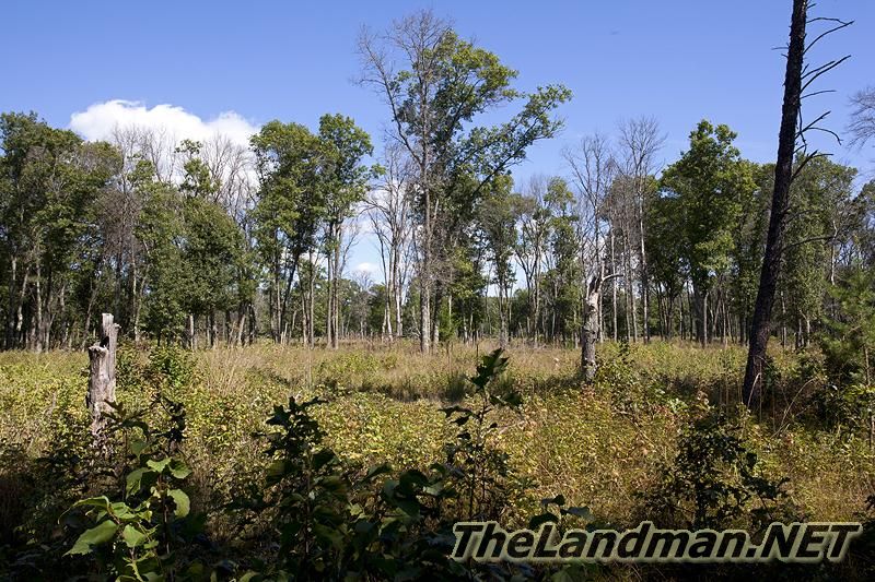 Wisconsin Public Hunting